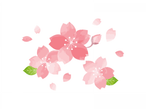 桜